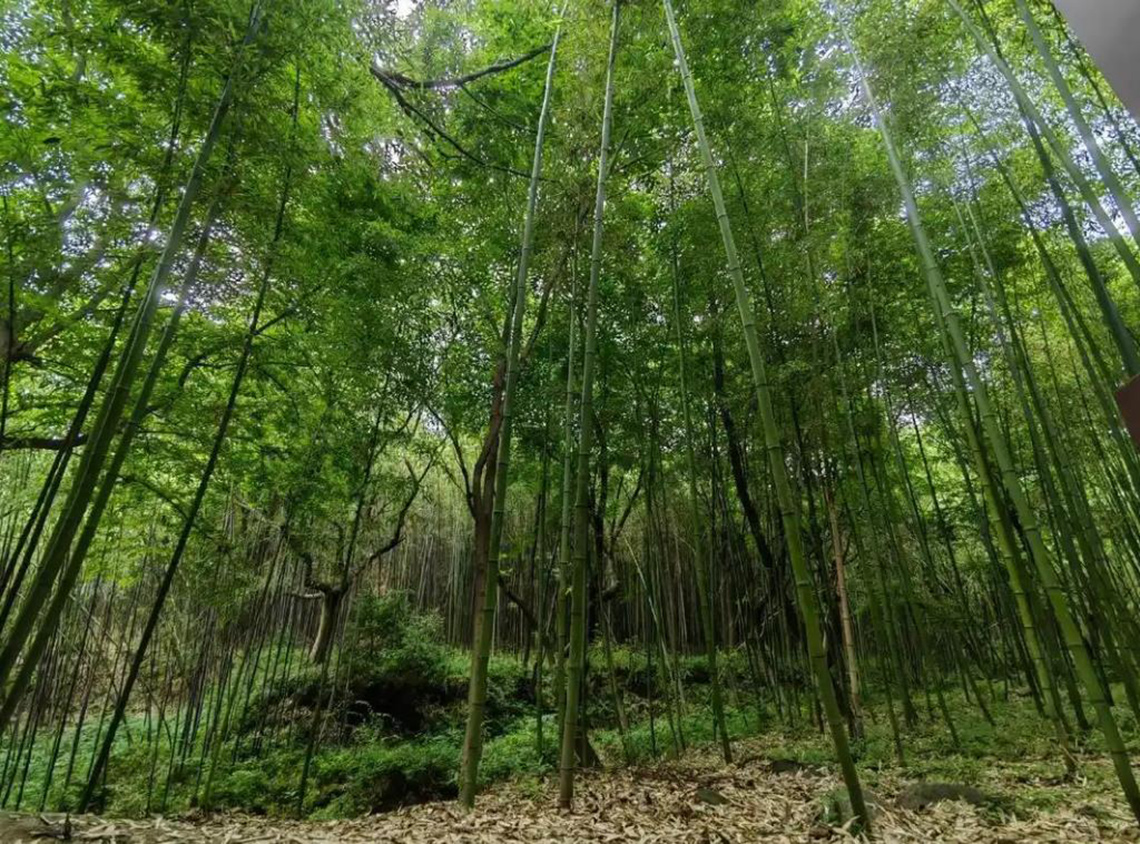 武穴出台政策扶持传统竹艺