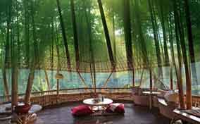 如何延长竹建筑的使用寿命？