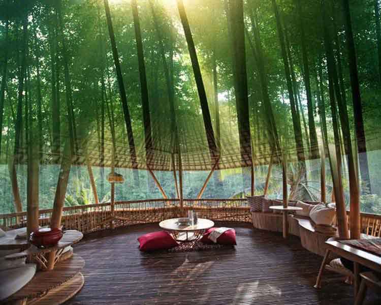 如何延长竹建筑的使用寿命?