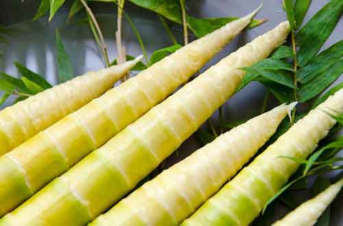 竹子的食用价值