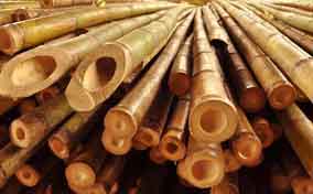 竹子在建筑材料领域的运用