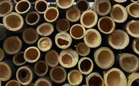 竹子作为建材哪些优势？