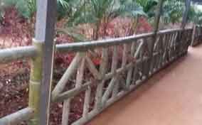 竹篱笆相较其他形式的篱笆有什么优势？