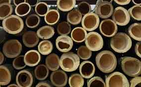 环保材料的新宠——竹子