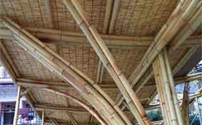 淮安大学生设计竹结构房子 绿色环保抗强震